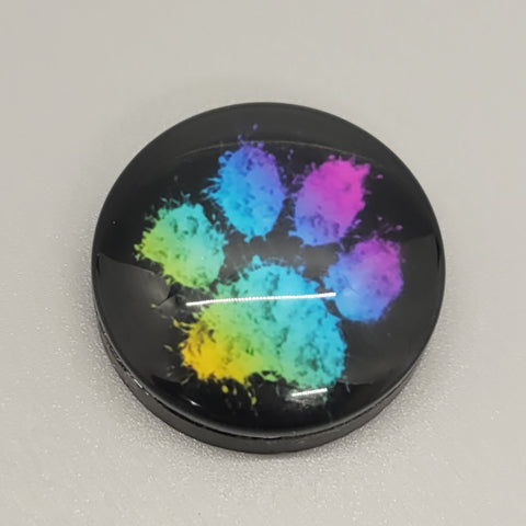 Rainbow Paw Magnet